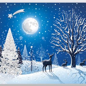 Weihnachtskarte S22-WK-2317