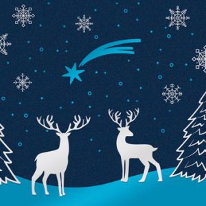 Weihnachtskarte S22-WK-2319