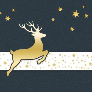 Weihnachtskarte S22-WK-2334