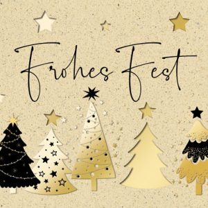 Weihnachtskarte S22-WK-2335