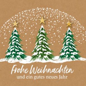 Weihnachtskarte S22-WK-2341